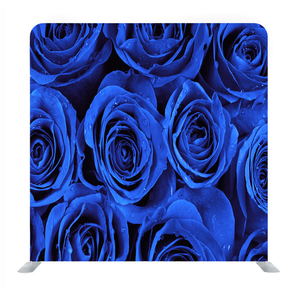 Fresh Blue Roses Background Media Wall - Backdropsource