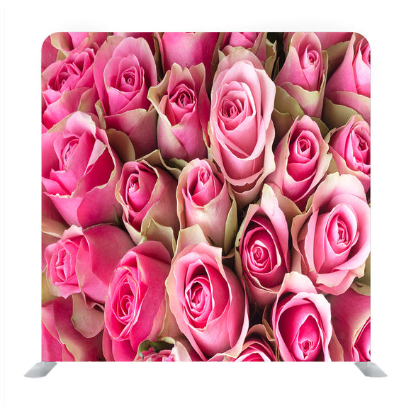 Natural Roses Background Media Wall - Backdropsource