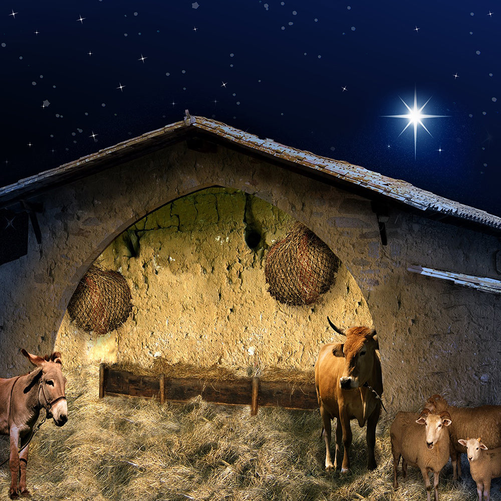 Christmas Stable  Backdrop - Backdropsource