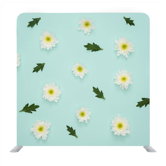 White Daisy Flower Media wall - Backdropsource